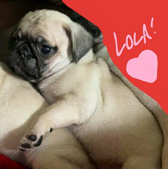 Meet your Posher, Rebecca - Picture 1 of 1